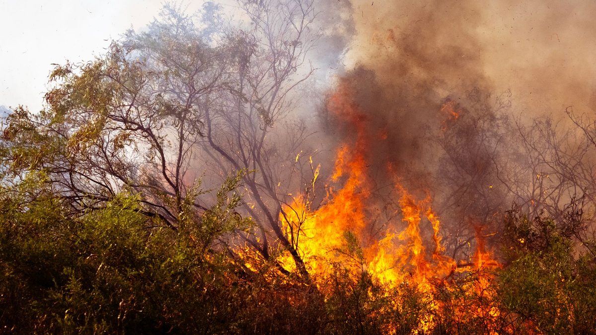Bushfire in Australia